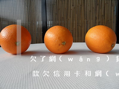 欠了網(wǎng)貸和信用卡怎么合理還款(欠信用卡和網(wǎng)貸應(yīng)該怎么辦)