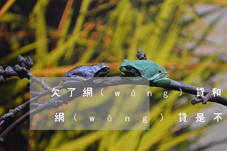 欠了網(wǎng)貸和信用卡該怎么辦(欠網(wǎng)貸是不是辦不了信用卡)