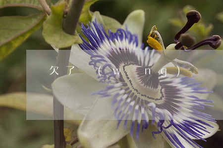 欠了網(wǎng)貸單程證