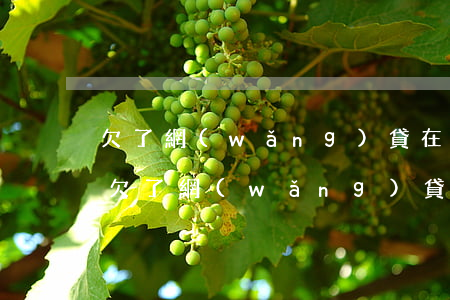 欠了網(wǎng)貸在老公面前抬不起頭(欠了網(wǎng)貸不敢告訴老公)