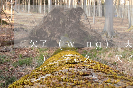 欠了網(wǎng)貸夫妻一方又沒(méi)簽字怎么還-欠了網(wǎng)貸夫妻一方又沒(méi)簽字怎么還款