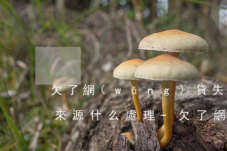 欠了網(wǎng)貸失業(yè)無收入來源什么處理-欠了網(wǎng)貸失業(yè)無收入來源什么處理好