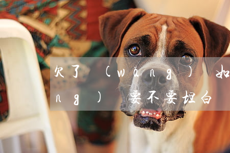 欠了網(wǎng)貸如何坦白(欠網(wǎng)貸要不要坦白)