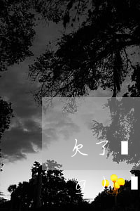 欠了網(wǎng)貸如何還款(網(wǎng)貸欠款怎么還)