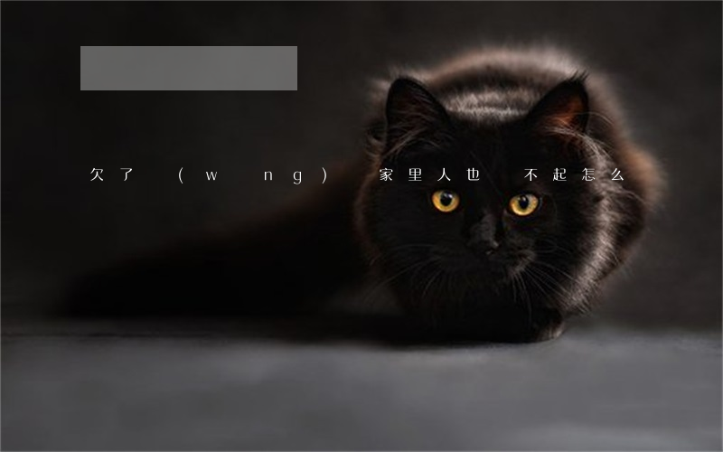 欠了網(wǎng)貸家里人也還不起怎么辦