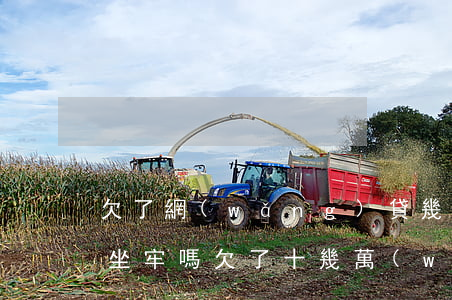 欠了網(wǎng)貸幾十萬(wàn)回坐牢嗎(欠了十幾萬(wàn)網(wǎng)貸還不上會(huì)坐牢嗎)