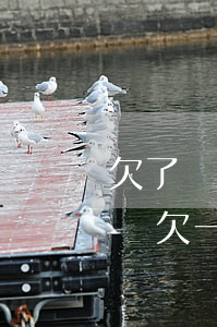 欠了網(wǎng)貸幾千塊說要上門真的嗎(欠一千多網(wǎng)貸會上門么)