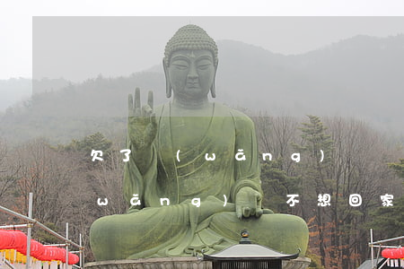 欠了網(wǎng)貸幾年沒回家(欠了網(wǎng)貸不想回家)