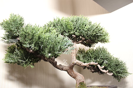 欠了網(wǎng)貸幾百塊錢會被弄為老賴嗎-欠了網(wǎng)貸幾百塊錢會被弄為老賴嗎知乎