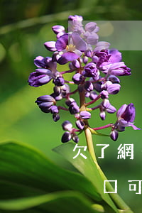欠了網(wǎng)貸幾萬(wàn)塊遷戶口可以遷嗎-