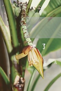 欠了網(wǎng)貸幾萬塊還不上準(zhǔn)備死了-欠了網(wǎng)貸幾萬還不起