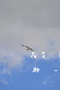 欠了網(wǎng)貸影響家里申請法律援助嗎-欠了網(wǎng)貸影響家里申請法律援助嗎知乎