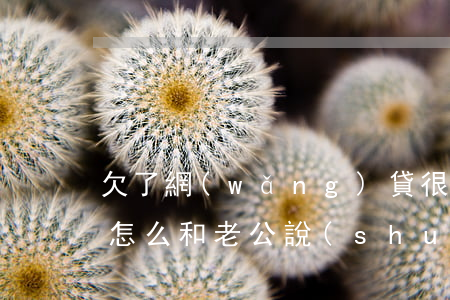 欠了網(wǎng)貸很多錢(qián)怎么和老公說(shuō)