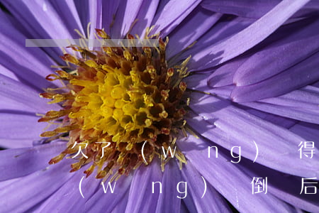 欠了網(wǎng)貸得了絕癥怎么還款(網(wǎng)貸倒閉后欠款怎么還)