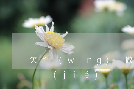 欠了網(wǎng)貸微信會(huì)被凍結(jié)嗎