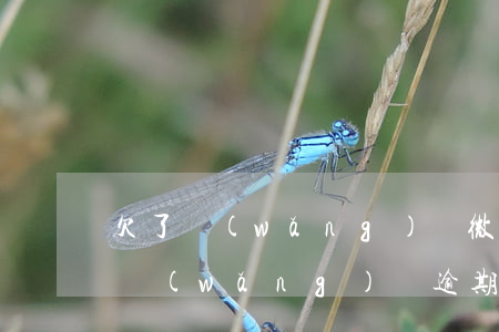 欠了網(wǎng)貸微信零錢被法院凍結(網(wǎng)貸逾期微信零錢被凍結了怎么辦)
