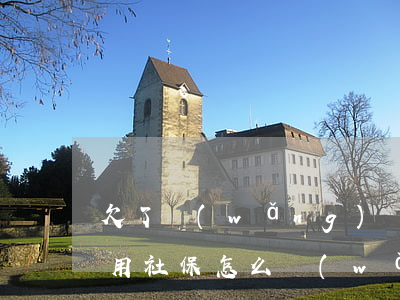 欠了網(wǎng)貸怎么交醫(yī)保(用社保怎么網(wǎng)貸)