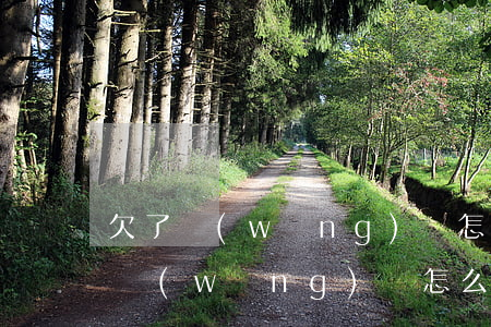 欠了網(wǎng)貸怎么向家里開口(欠了網(wǎng)貸怎么告訴家里)