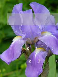 欠了網(wǎng)貸怎么和家里人坦白6(欠了網(wǎng)貸如何跟家里人坦白)