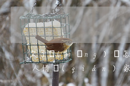 欠了網(wǎng)貸怎么問(wèn)家人借錢(qián)(家人借了網(wǎng)貸怎么處理)