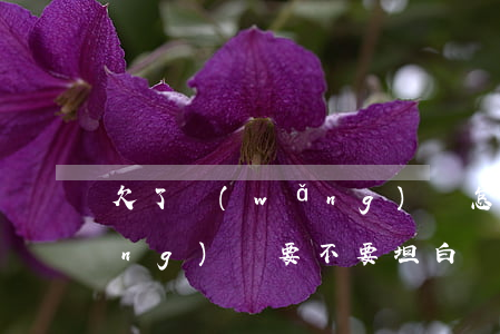 欠了網(wǎng)貸怎么坦白(欠網(wǎng)貸要不要坦白)