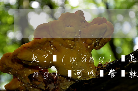 欠了網(wǎng)貸怎么報警(欠網(wǎng)貸可以報警還款嗎)