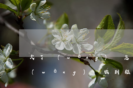 欠了網(wǎng)貸怎么會傳到村里(欠網(wǎng)貸收到短信說要去村委會)