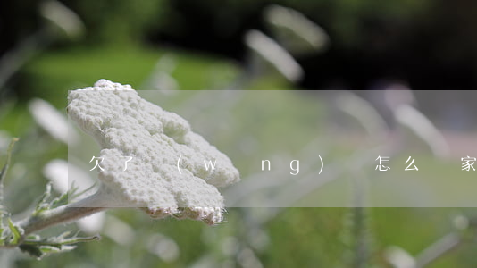 欠了網(wǎng)貸怎么給家里開口