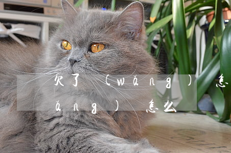 欠了網(wǎng)貸怎么能貸(欠的網(wǎng)貸怎么還)
