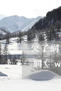 欠了網(wǎng)貸怎么與家人坦白(欠了網(wǎng)貸該不該跟家人坦白)