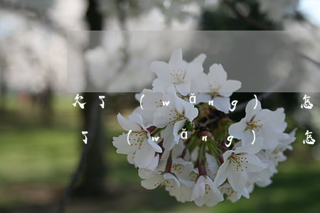 欠了網(wǎng)貸怎么走出困境心聲(欠了網(wǎng)貸怎么走出困境心聲)