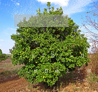 欠了網(wǎng)貸怎么跟姐夫說(我妹給我說她欠了很多網(wǎng)貸)