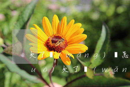 欠了網(wǎng)貸怎么跟姐姐說(shuō)(欠了網(wǎng)貸怎么和朋友說(shuō))