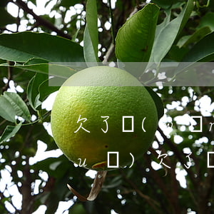 欠了網(wǎng)貸怎么跟朋友說(shuō)(欠了網(wǎng)貸怎么跟朋友說(shuō))
