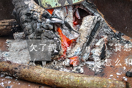 欠了網(wǎng)貸怎么跟老板說(欠了網(wǎng)貸怎么和朋友說)