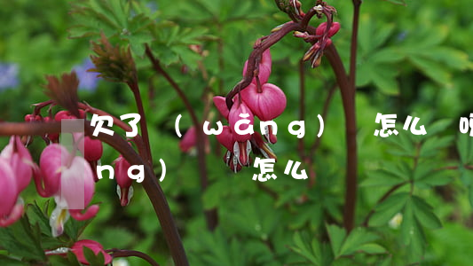 欠了網(wǎng)貸怎么辦呀(欠網(wǎng)貸該怎么辦)