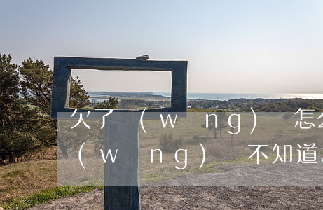 欠了網(wǎng)貸怎么還款(欠了很多網(wǎng)貸 不知道怎么還了)