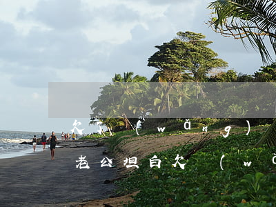 欠了網(wǎng)貸想發(fā)微信跟老公坦白(欠網(wǎng)貸怎么和老公坦白)