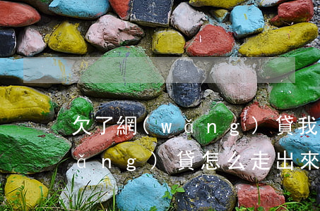 欠了網(wǎng)貸我怎么走出去(網(wǎng)貸怎么走出來(lái))