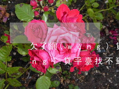 欠了網(wǎng)貸找不到平臺(網(wǎng)貸平臺找不到了,可以找誰找呢)