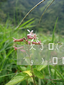 欠了網(wǎng)貸改名字(有網(wǎng)貸沒還清能改名字)
