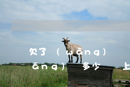 欠了網(wǎng)貸會上門嗎(欠了網(wǎng)貸多少錢會上門)