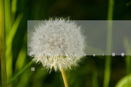 欠了網(wǎng)貸會不會扣支付寶里的錢-