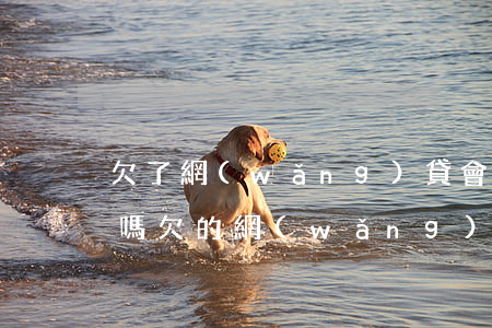 欠了網(wǎng)貸會被凍結(jié)嗎(欠的網(wǎng)貸被申請凍結(jié)了銀行)