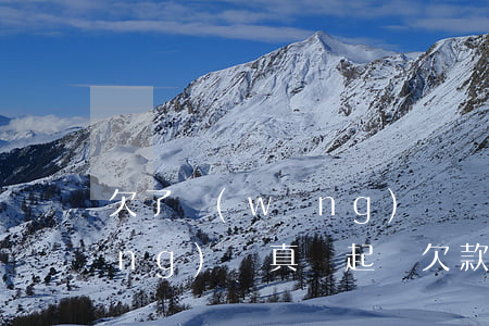 欠了網(wǎng)貸會被起訴么(網(wǎng)貸真會起訴欠款人嗎)