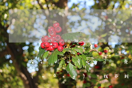欠了網(wǎng)貸查不到怎么辦(欠款網(wǎng)貸找不到平臺怎么辦)