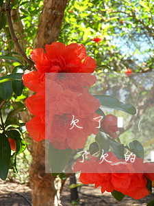 欠了網(wǎng)貸 死了還需要還嗎(人死了欠的網(wǎng)貸還要還嗎)