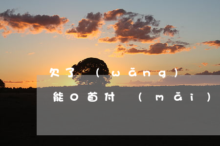欠了網(wǎng)貸沒(méi)有逾期能0首付買(mǎi)車嗎(欠網(wǎng)貸沒(méi)還可以貸款買(mǎi)車嗎)