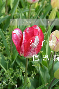 欠了網(wǎng)貸沒(méi)有還短信恐嚇怎么辦-