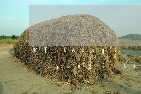 欠了網(wǎng)貸沒(méi)還能辦營(yíng)業(yè)執(zhí)照嗎(欠網(wǎng)貸可以申請(qǐng)營(yíng)業(yè)執(zhí)照嗎)